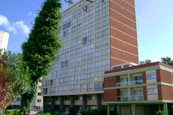 El Grillo en Mansa 3522 1 grande